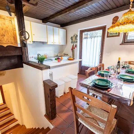 Lovely In - Happy * קורמאיור