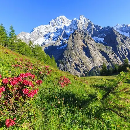 Apartament Lovely In - Happy Courmayeur